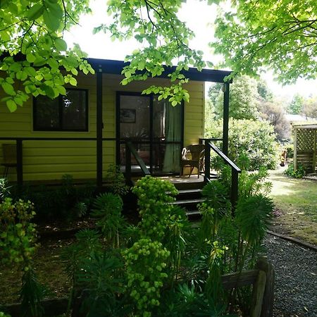 Ivy'S Cottage Грейтаун Экстерьер фото